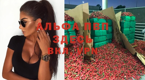spice Беломорск